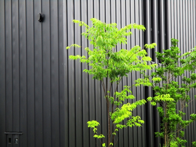 植栽